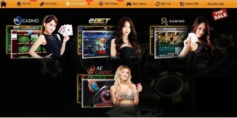 Top các game bài siêu hấp dẫn có tại sân chơi cá cược Typhu88