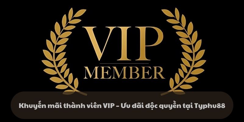 Khuyến mãi thành viên VIP – Ưu đãi độc quyền tại Typhu88