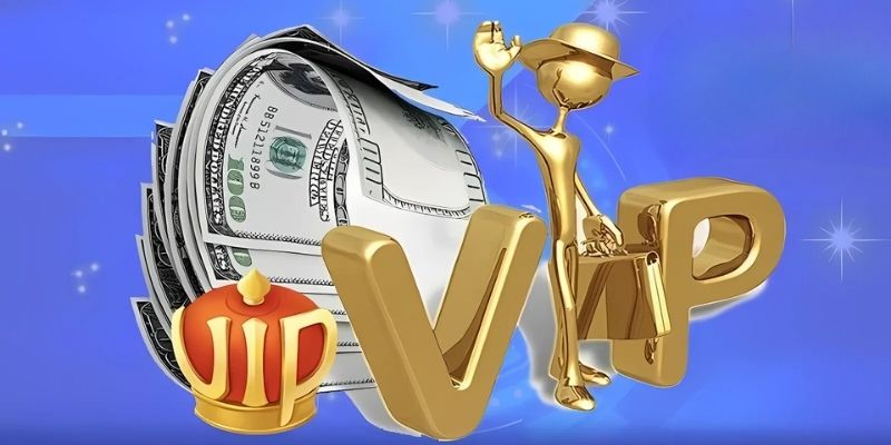 Những điểm bet thủ cần chú ý về quyền lợi VIP