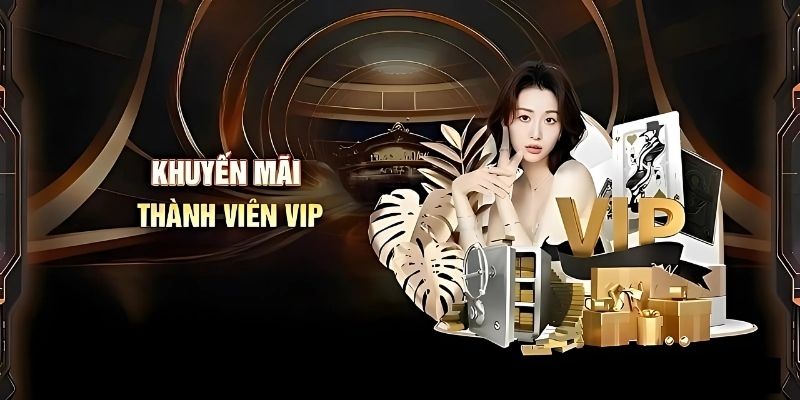 Sơ bộ ưu đãi thành viên VIP