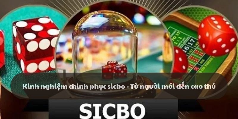 Kinh nghiệm chinh phục sicbo - Từ người mới đến cao thủ